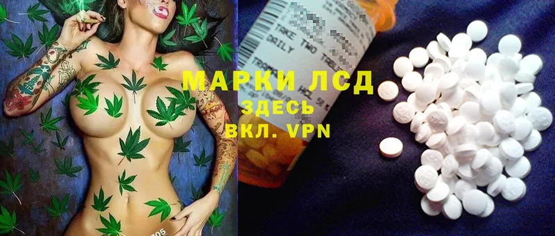 даркнет сайт  Медвежьегорск  LSD-25 экстази ecstasy 